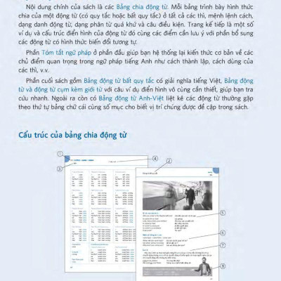 Hiểu Thấu Đáo Về Động Từ Tiếng Anh