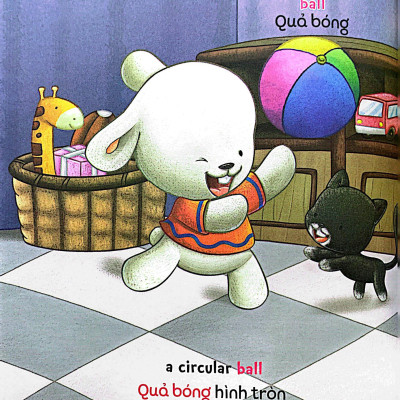 Brady Siêu Đỉnh - 365 Ngày Phát Triển Trí Tuệ - Level 1 - Đồ Chơi Và Hình Khối