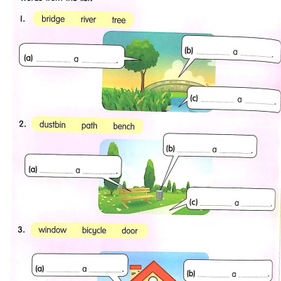 Exploring Grammar: Step By Step - Book 2 (Age 9 – 10)