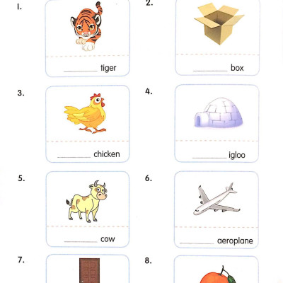 Exploring Grammar: Step By Step - Book 1 (Age 7 – 8)