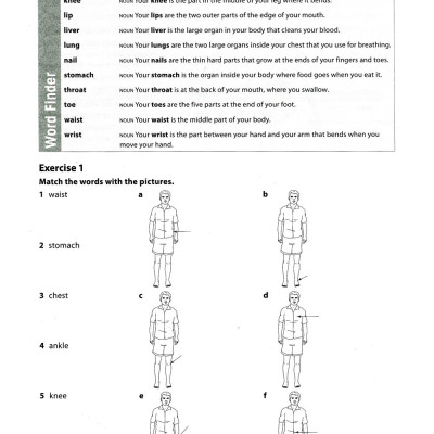 Work On Your Vocabulary A2 - Pre-Intermediate (Tái Bản)