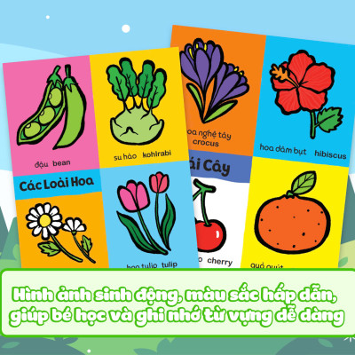 Combo My first - 600 Từ vựng đầu đời cho bé (6 Cuốn)