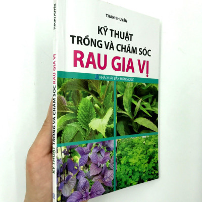 Kỹ Thuật Trồng Và Chăm Sóc Rau Gia Vị