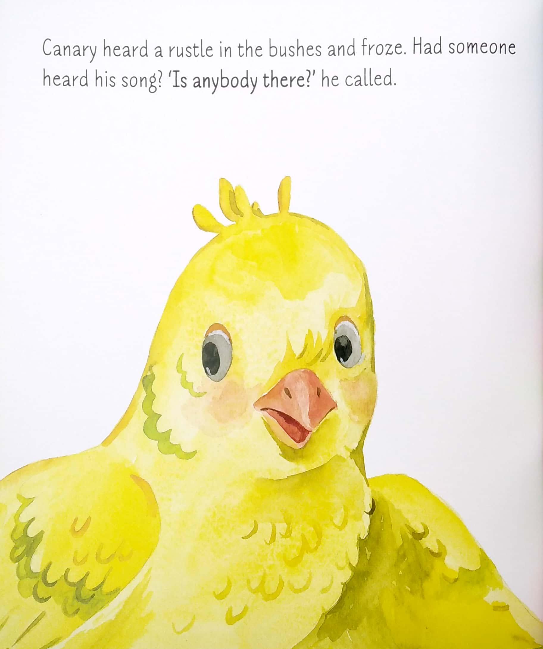 Too Shy To Sing