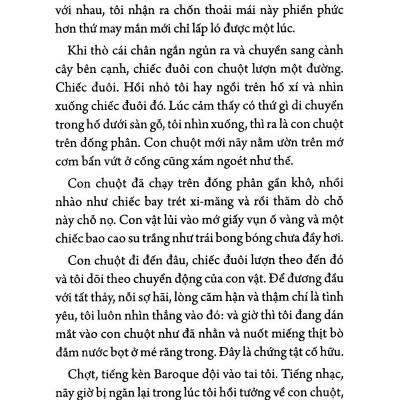 Món Quà Từ Cánh Chim