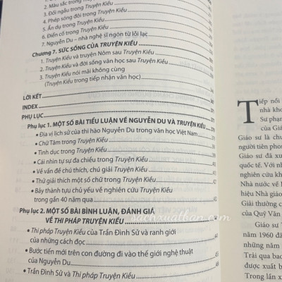 Sách Thi Pháp Truyện Kiều - Trần Đình Sử