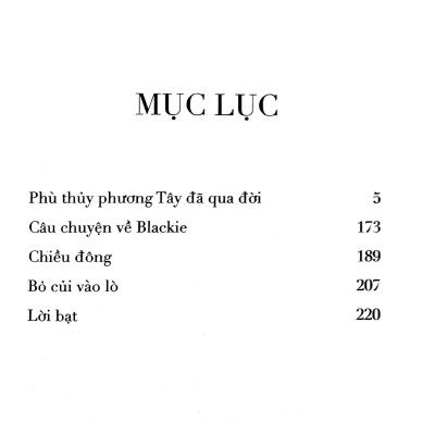 Bà Ngoại Phù Thủy Và Mùa Hè Tập Sự - Nishi No Majo Ga Shinda