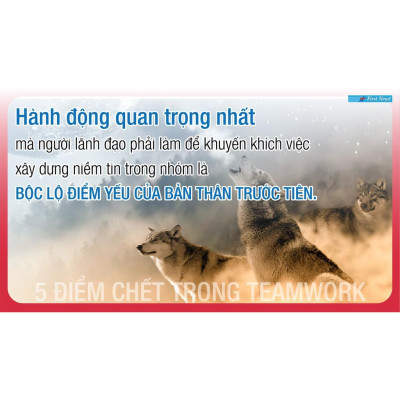 Sách - 5 Điểm Chết Trong Teamwork - First News