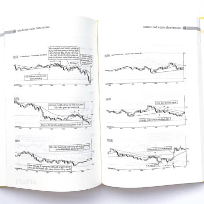Thấu hiểu Hành vi giá Thị trường Tài chính (Understanding Price Action)