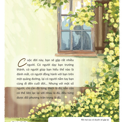Rồi Mai Sau, Có Duyên Sẽ Gặp Lại