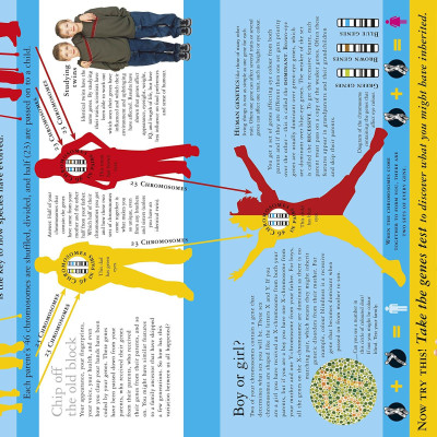 All About Evolution (Big Questions)