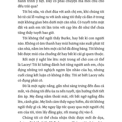 Lời Hứa Của Một Chú Chó - A Dog