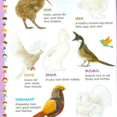 Play With Sticker - Birds (Chơi Cùng Hình Dán - Các Loài Chim)