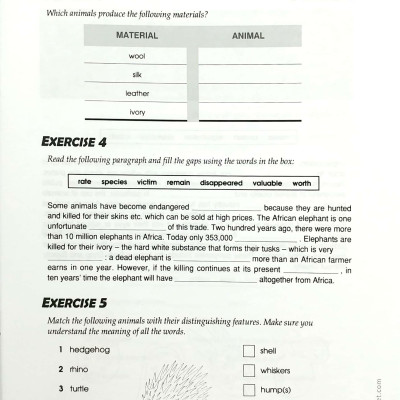 IELTS The Vocabulary Files B2 - Upper Intermediate (Tái Bản 2018)