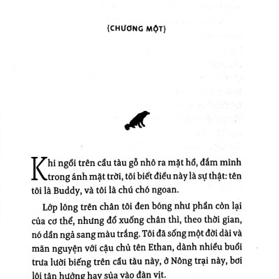 Hành Trình Của Một Chú Chó