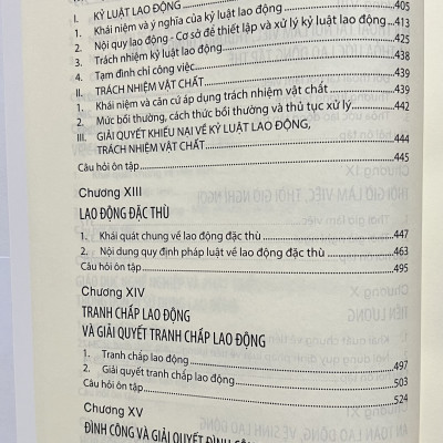 Sách - Giáo Trình Luật Lao Động Việt Nam