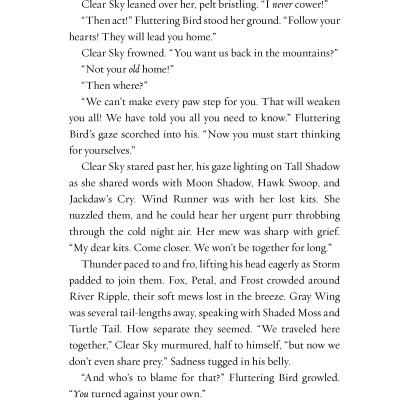 Sách ngoại văn: Warriors - Dawn Of The Clans #5 - A Forest Divided