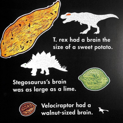 How Fast Was A Velociraptor?