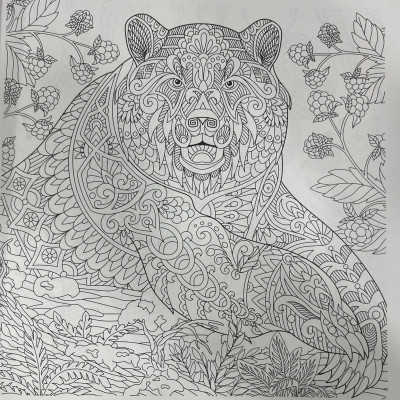 Animals - Adults Colouring Book For Adults