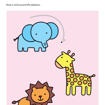 Play Smart Animal Picture Puzzlers 2+