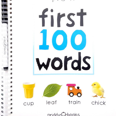 Wipe Clean: First 100 Words