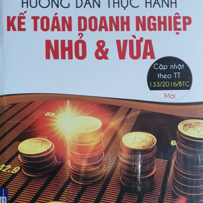Hướng dẫn Thực hành kế toán doanh nghiệp nhỏ và vừa