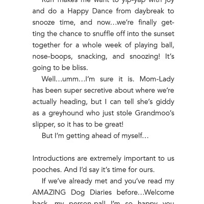 Dog Diaries 5: Ruffing It: A Middle School Story