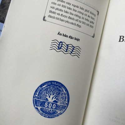 (Bìa cứng) BÀ DALLOWAY –Virgina Woolf – Trần Nguyên dịch – Rainbow – NXB Phụ Nữ Việt Nam