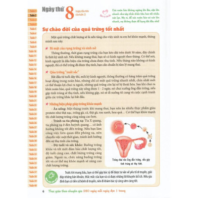 Sách: Thai Giáo Theo Chuyên Gia - 280 Ngày - Mỗi Ngày Đọc Một Trang