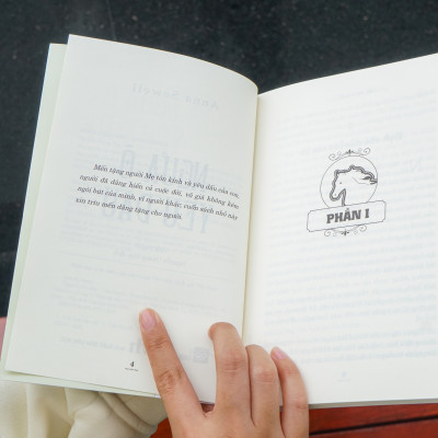 Sách - Ngựa ô yêu dấu Anna Sewell - Đinh Tị Books