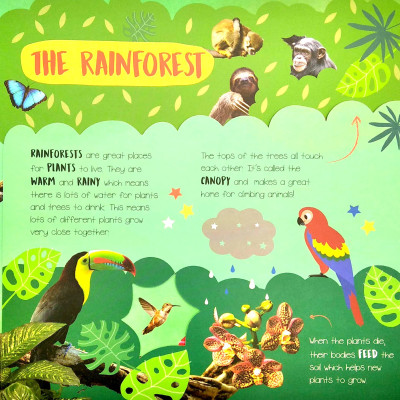 Little Wonders - Habitats - Multi-Flap