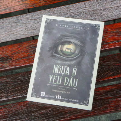 Sách - Ngựa ô yêu dấu Anna Sewell - Đinh Tị Books