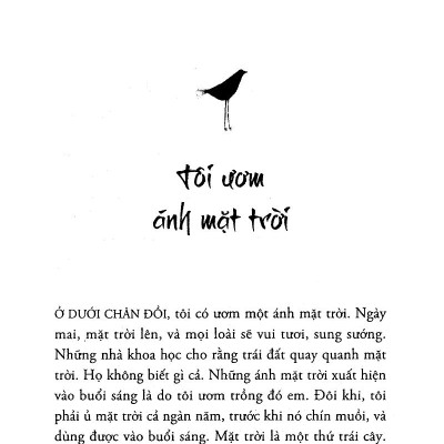 Tôi Ươm Ánh Mặt Trời