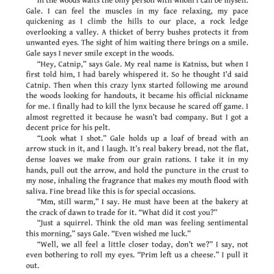 Sách ngoại văn: The Hunger Games (Illustrated Edition)