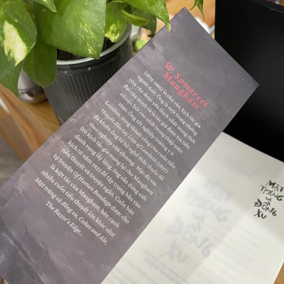 Sách - Mặt trăng và đồng xu (Nhã Nam HCM)