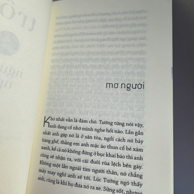 (Bìa mềm) TRÔI - Nguyễn Ngọc Tư – NXB Trẻ 