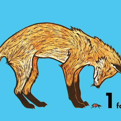 How Much Does A Ladybird Weigh?