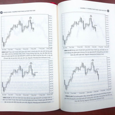 Naked Forex - Phương pháp Price Action Tinh gọn