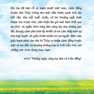 Mùa Lúa Trổ Đòng Đòng