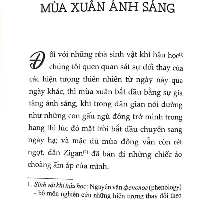 Giọt Rừng (ĐT)