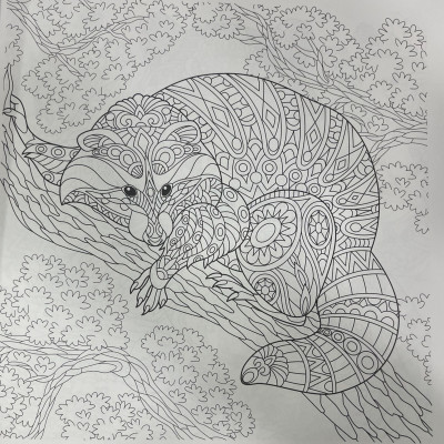 Animals - Adults Colouring Book For Adults