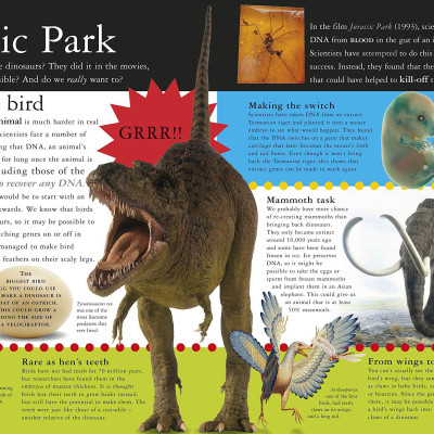 All About Evolution (Big Questions)