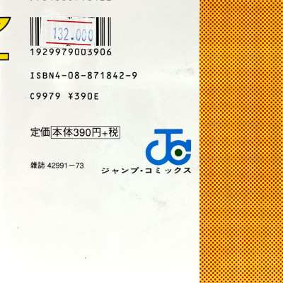 Slam Dunk 22 (Japanese Edition)