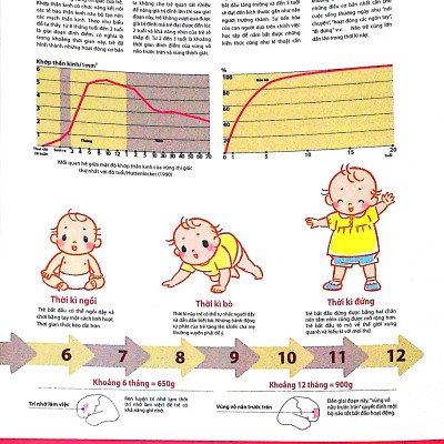 Dạy Con Kiểu Nhật - Giai Đoạn 0 Tuổi (Tái Bản)