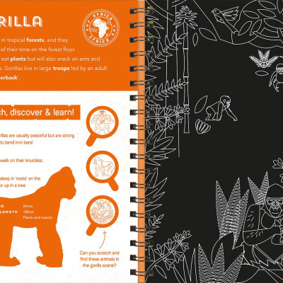 Animals (Scratch Discover & Learn)