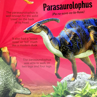 A Mega Sound Book: Roar! 10-Button Sound Book