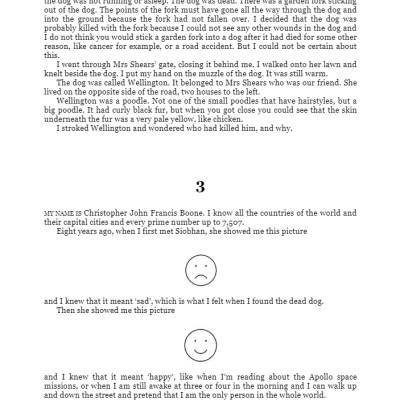 The Curious Incident of the Dog in the Night-time : Vintage Children