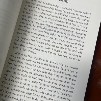 NHỎ LÀ ĐẸP - E. F. Schumacher – Sen Xanh dịch – Thái Hà books – NXB Công Thương