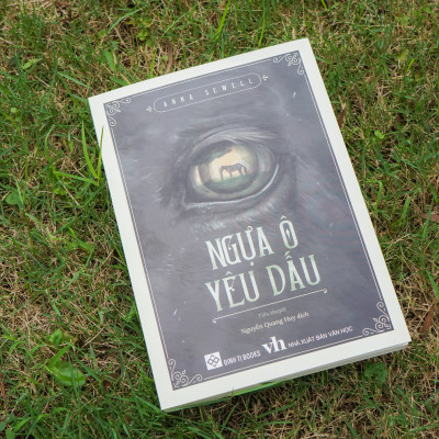 Sách - Ngựa ô yêu dấu Anna Sewell - Đinh Tị Books