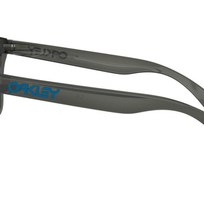 Mắt Kính Oakley Frogskins PRIZM - OO9245 924574